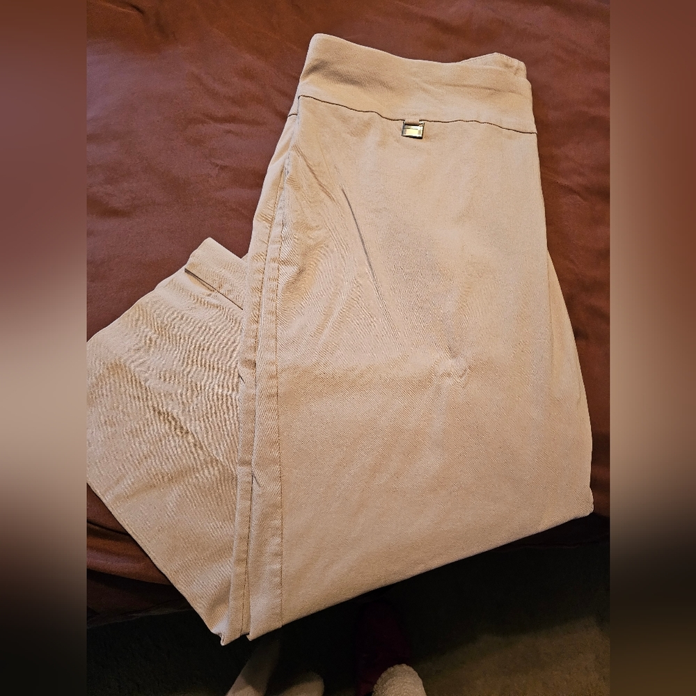 Alfani khaki capris